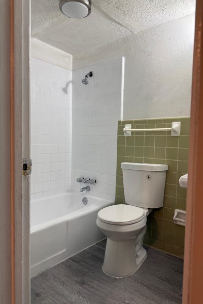 WhatsApp Image 2025-03-08 at 12.07.44 AM (1)